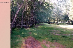 028lugar