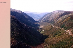 036vale